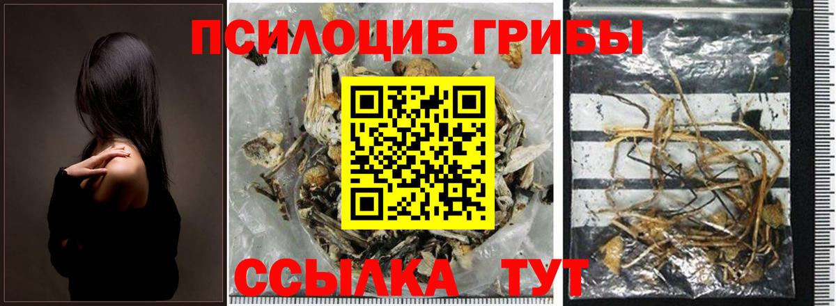 Галлюциногенные грибы Psilocybe  Вход с VPN  Галлюциногенные грибы GOLDEN TEACHER  Большой Камень 