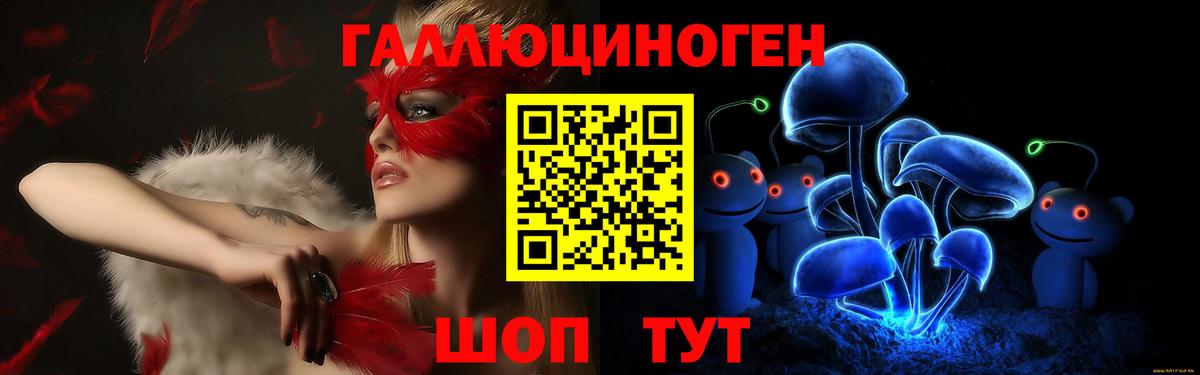 Галлюциногенные грибы Psilocybine cubensis Большой Камень